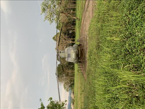Nhật Quân