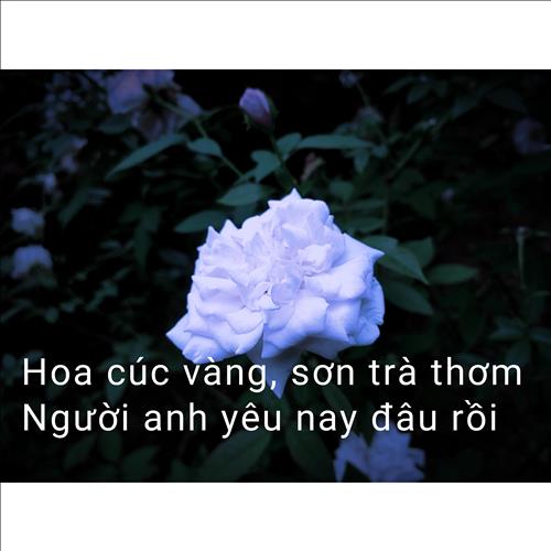 Nguyễn Minh Phương