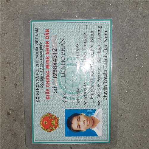 Lê nho phấn