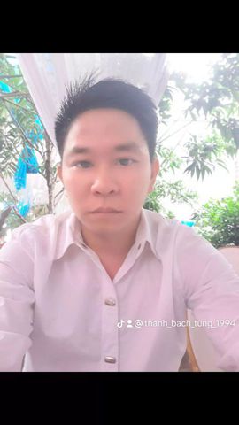 Bạch tùng