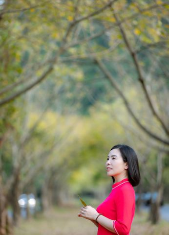 Thảo