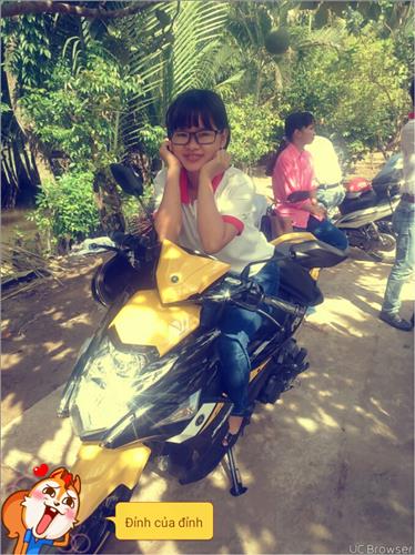 yến rùa