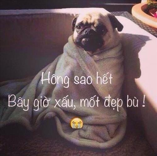 Bé Đẹp