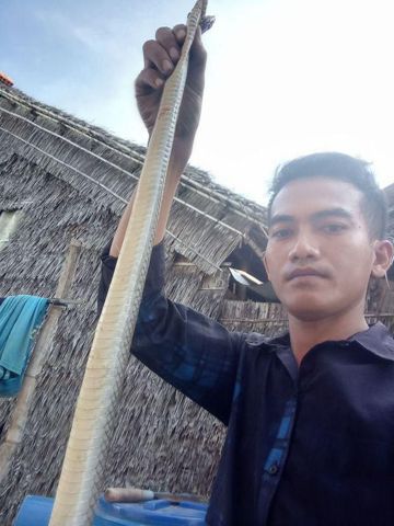 Ngoc tình