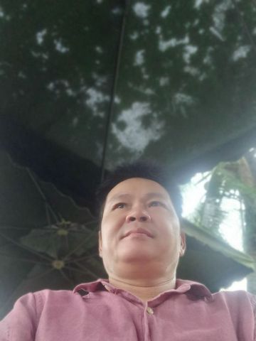 Vũ hùng