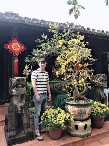 Thanh bui