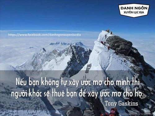 đỗ quang trường