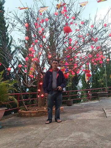 DO  THUY