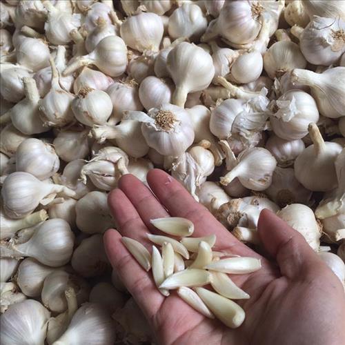 Hi Vọng Ở Tương Lai