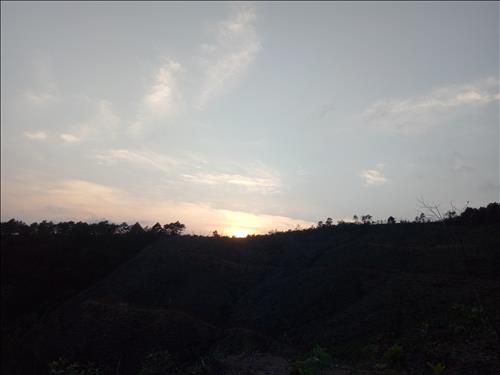 Nhạt nắng
