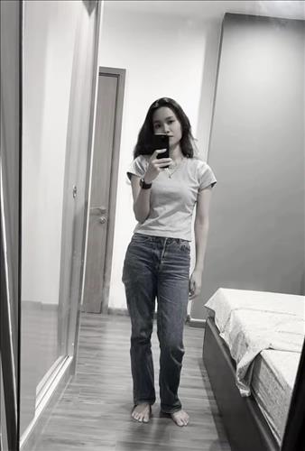 Dã Quỳ