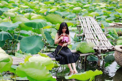 Tìm người nghiêm túc, tử tế.
