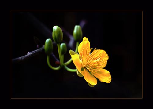 RiêngMột GócTrời