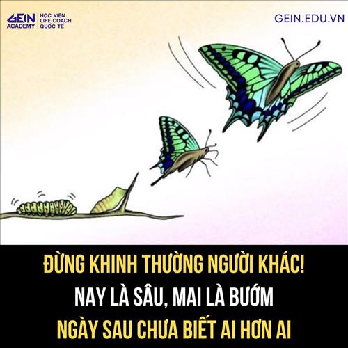 Việt Khang