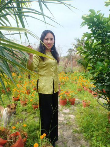 Hồng
