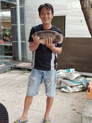 Lê thanh Tùng