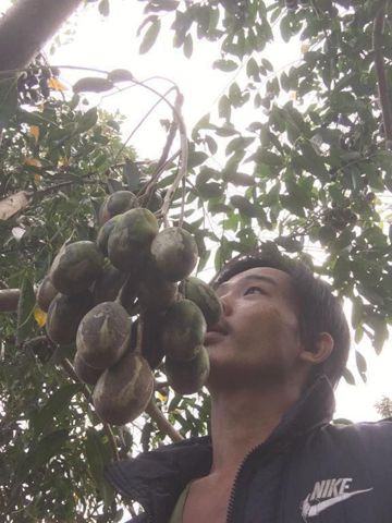 Tô Đông Pha