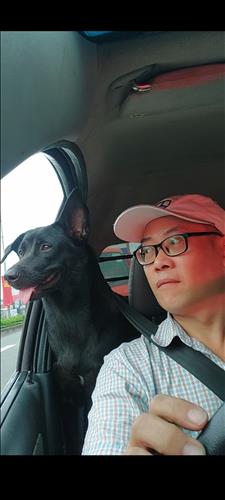 Độc bước trong đêm.