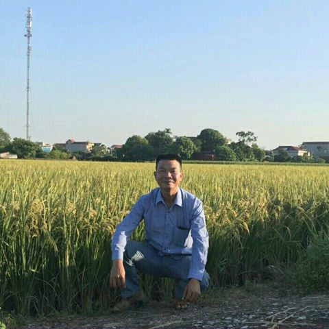 Nguyễn Hổ