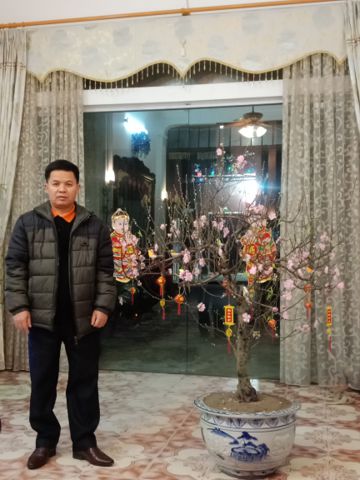 Lương vũ