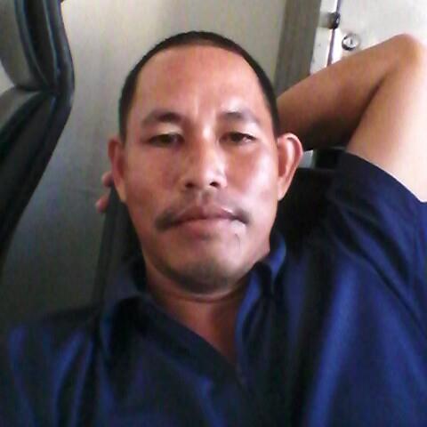 Ngựa hoang trên thảo nguyên