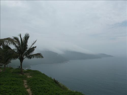 Lê Hoàng Dương