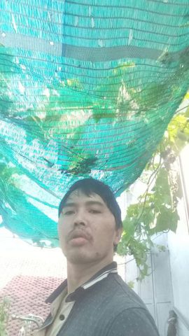 Đức