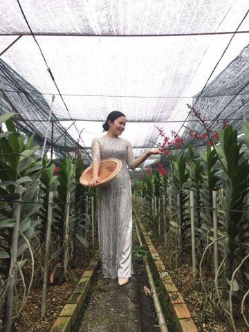 mỹ Anh