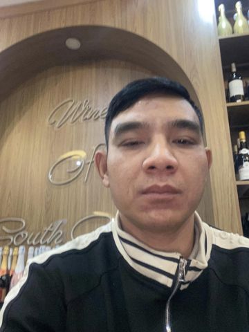 Tùng chó