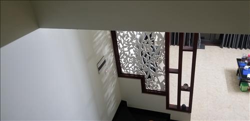 trần Đức Đại