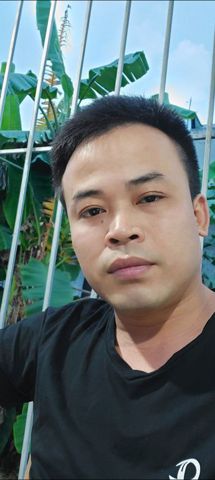 Thái phong