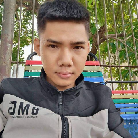 Trần bin