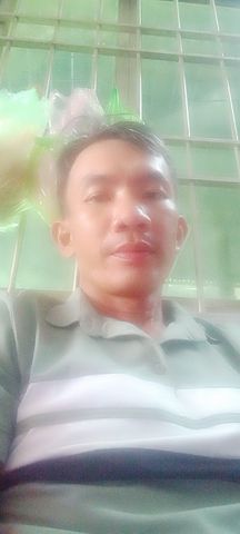 dung 43t