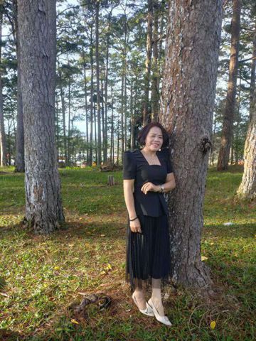 Kim tâm cát 413139