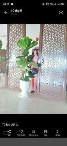 Hanh