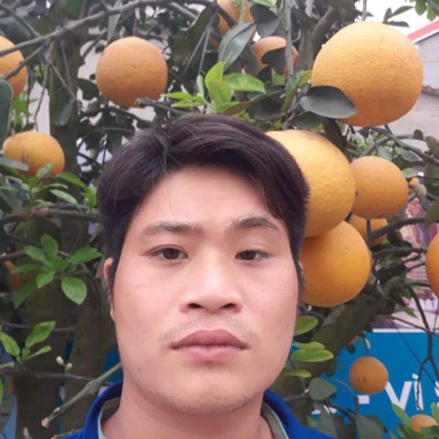 Lợi