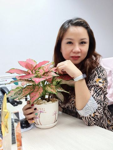 Hạ Vy