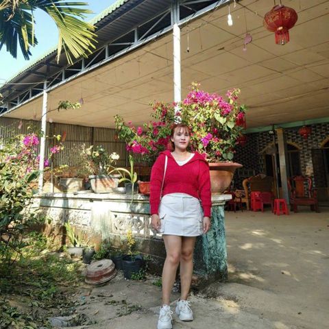 Hoa Đỗ