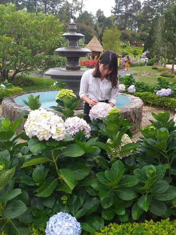 Nguyễn hiền