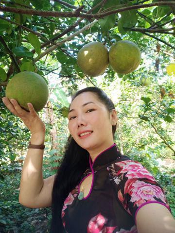 Gai ben tre