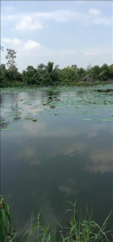 Thành đê Lương