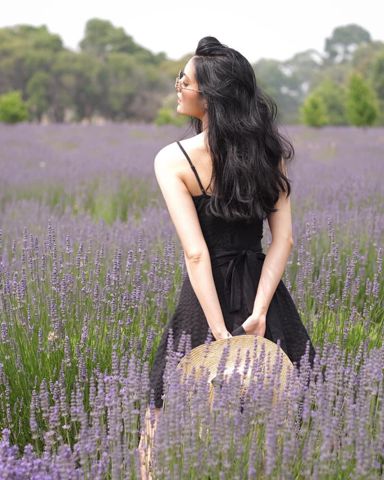 Cỏ may