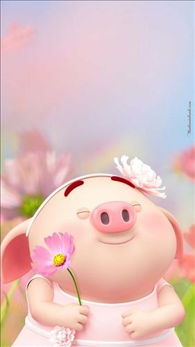 thanhtuan pham