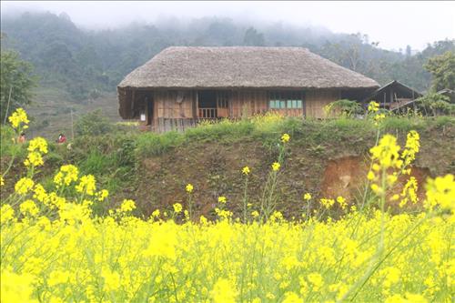 Nguyễn Hải Nam