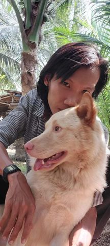 Thanh