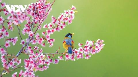 CÔ ĐƠN GIỮA DÒNG ĐỜI