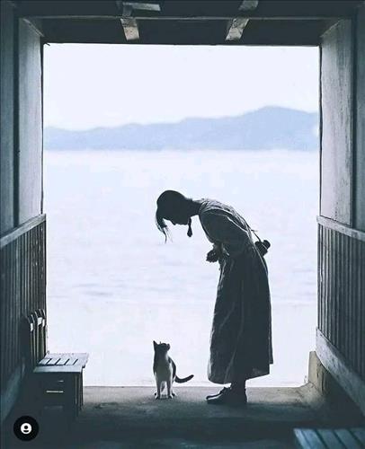 Yên
