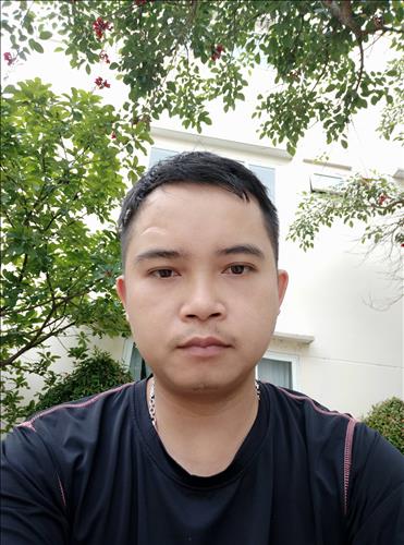 Phi phi