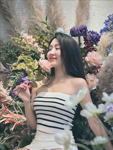 đào mai