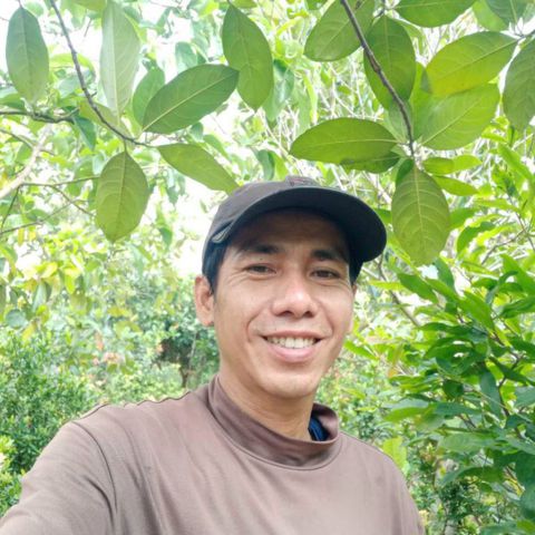 Tìm bạn